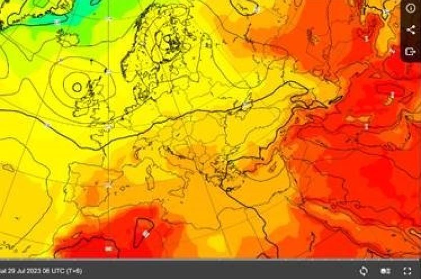 ECMWF website showing weather forecasts made by Pangu-Weather