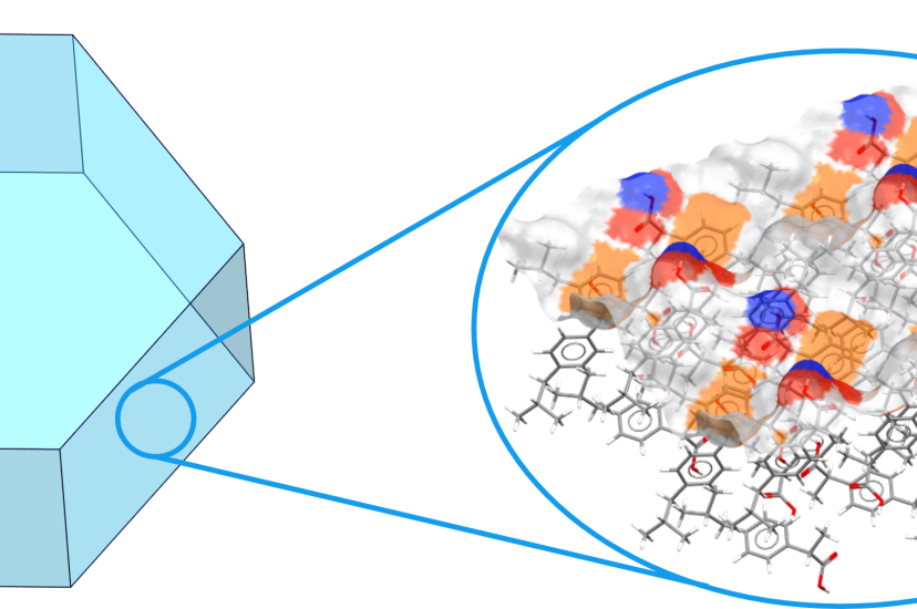 CSD-Particle can provide insight into surface chemistry and topology. Here, hydrogen bond donors, hydrogen bond acceptors, and aromatic groups on the surface are highlighted in blue, red, and orange respectively