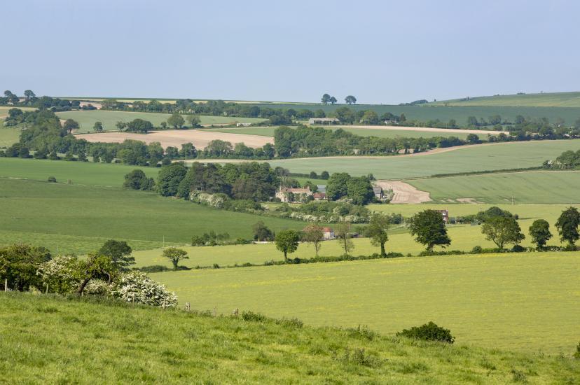 UK biodiversity