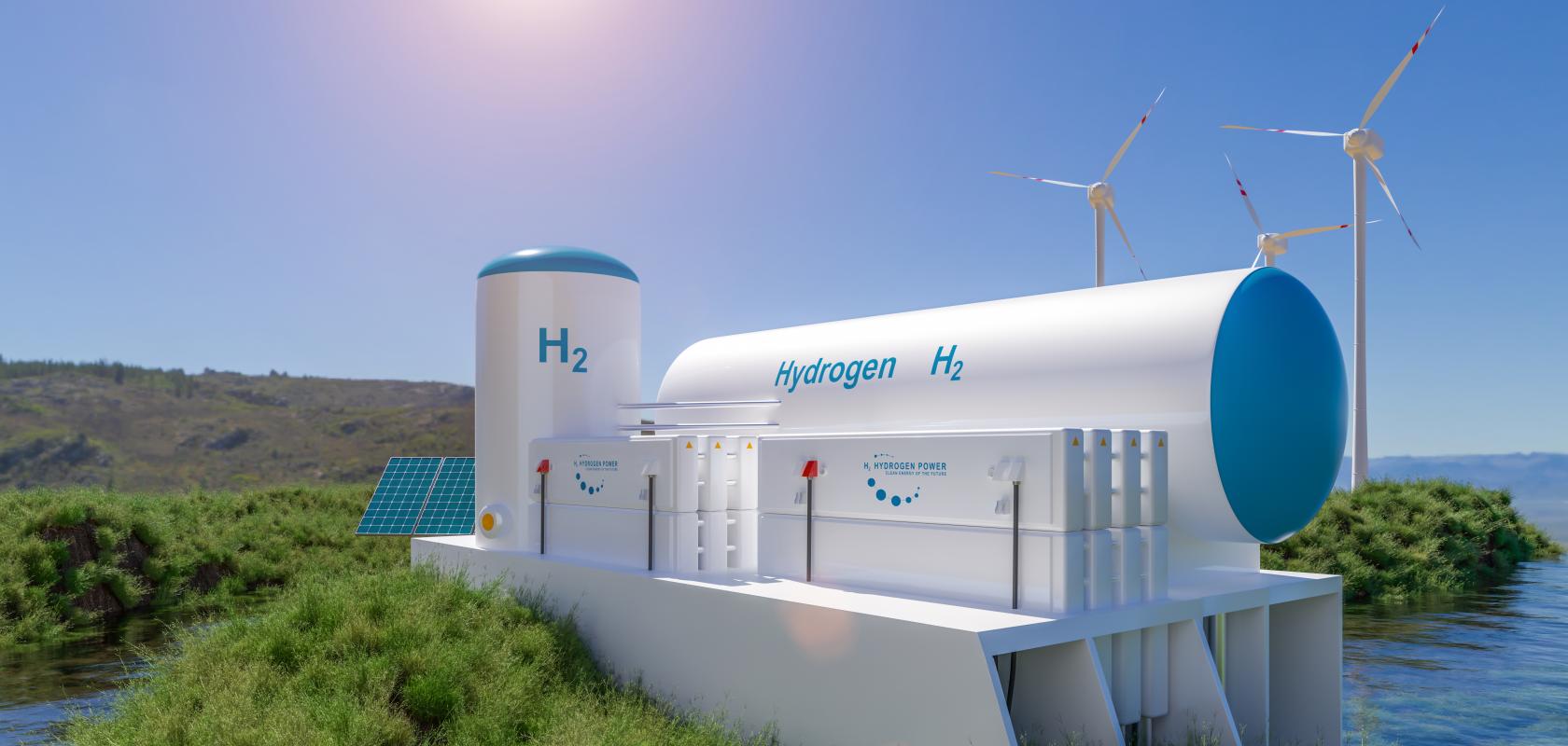 Hydrogen fuel cell