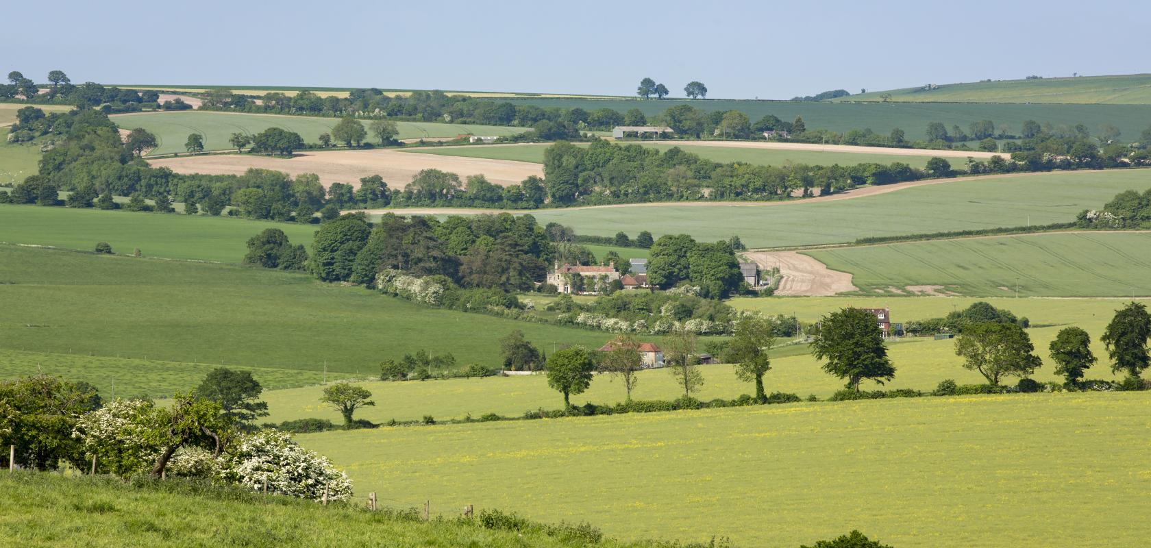 UK biodiversity