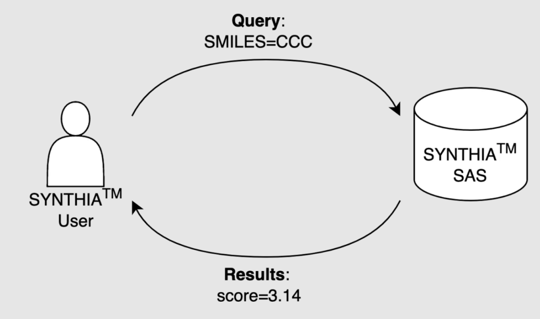 Figure 1. Schematic representation of SYNTHIA SAS service dataflow.